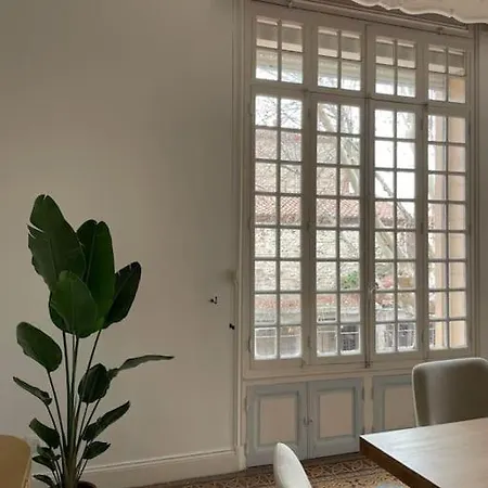 Sublime Haussmannien Apartment Perpignan